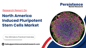 North America Induced Pluripotent Stem Cells Market