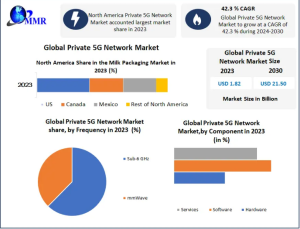 Private 5G Network Market