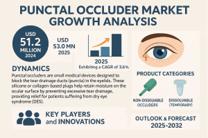 Punctal Occluder Market