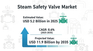 Steam Safety Valve Market