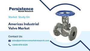 Americas Industrial Valve Market