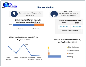 Biochar Market