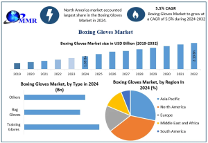 Boxing Gloves Market