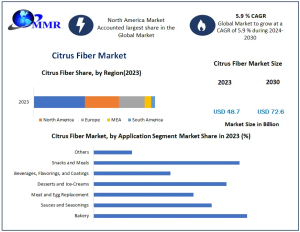 Citrus Fiber Market