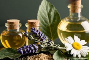 Clary Sage Oil Market