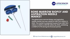 Bone Marrow Biopsy and Aspiration Needle Market