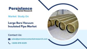 Large Bore Vacuum Insulated Pipe Market