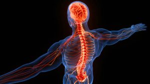 Neurological Disorder