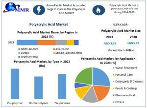 Polyacrylic Acid Market