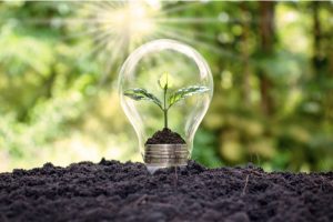 Renewable Methanol Market
