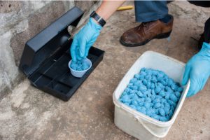 Rodent Control Market