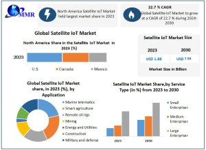 Satellite IoT Market