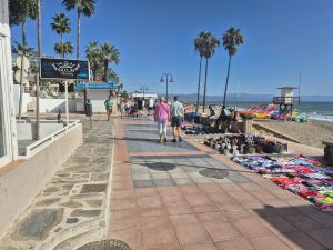 illegal migration and vendors in Spain