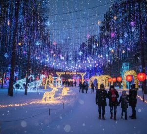 Winter Light Trail Tourism Market