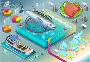 Aquaculture Development Market
