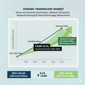 Ceramic Transducers Market