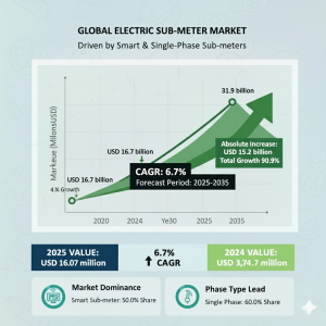 Electric Sub-meter Market
