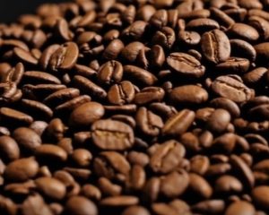 Freeze Dried Coffee Market
