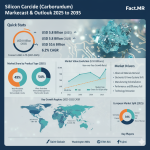 Silicon Carbide (Carborundum) Market