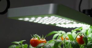 Horticultural Lighting Market