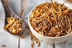 Insect Protein Bars Market