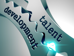 Talent Development Strategies Market