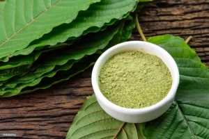 Guava Leaf Extract Market