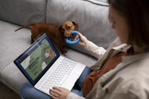 Dog Boarding Guide: Key Things to Know and Ask Before Booking
