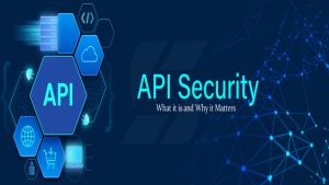 API Security Management and Control Platform Market