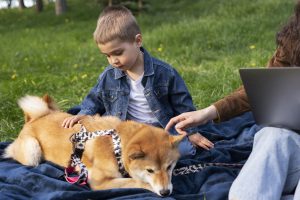 Advantages of Dog Daycare Use Around the Holiday Period
