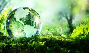 Eco Essence Market