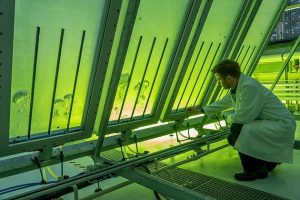 Green lab technology Market