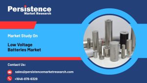 Low Voltage Batteries Market