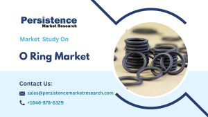 O Ring Market