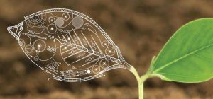 Synthetic biology innovations Market