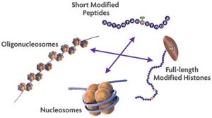Drug Discovery Enzymes Market
