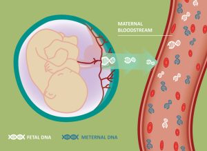 Cell-Free Fetal DNA Testing Market