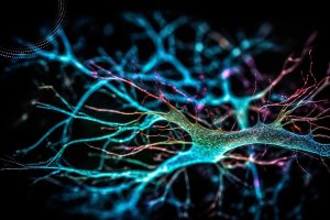 Neurogenetic Testing Market