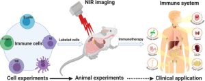 Near Infrared Imaging Market