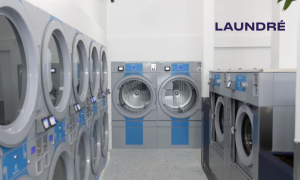 Dry Cleaner