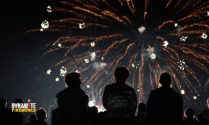 Fireworks Store