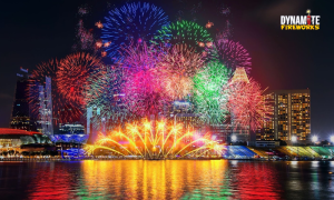 Fireworks Store