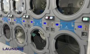 Dry Cleaner