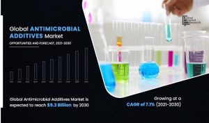 Antimicrobial Additives Market