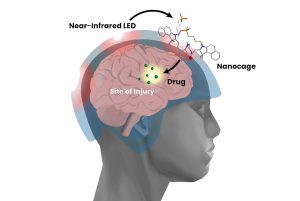 Traumatic Brain Injury Therapeutics Market