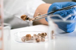 Psilocybin Assisted Therapy Market