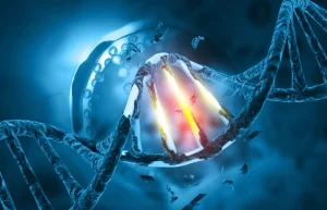 Genetic Toxicology Testing Market