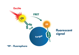 Kinase Biology Tools and Services Market