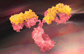 Antibody Drug Conjugates Contract Manufacturing Market