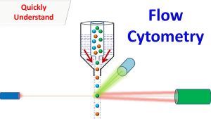Asia Pacific Flow Cytometry Market